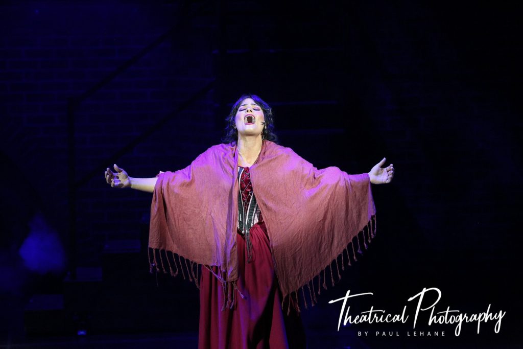 Oliver 236 Oliver 211 3V5A6313